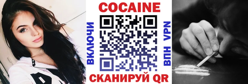 КОКАИН FishScale  блэк спрут как войти  нарко площадка Telegram  Красный Холм 