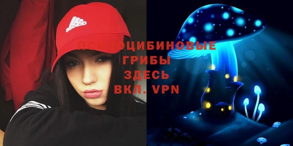 соль ск Осинники