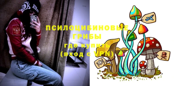 соль ск Осинники