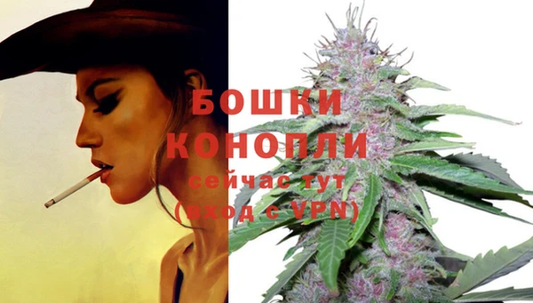 твердый Няндома