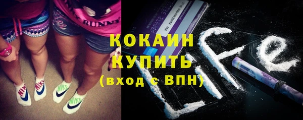 твердый Няндома