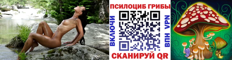 Галлюциногенные грибы Cubensis  Красный Холм 
