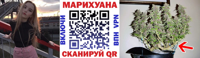 Канабис тримм  где найти   Красный Холм 