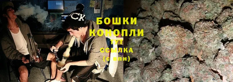 Каннабис SATIVA & INDICA  Красный Холм 